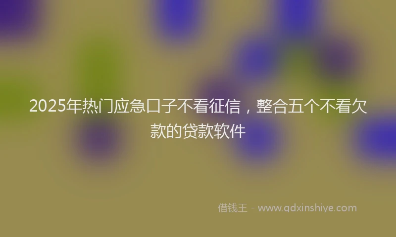 2025年热门应急口子不看征信，整合五个不看欠款的贷款软件