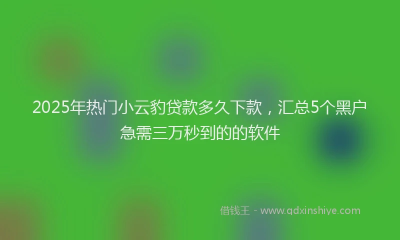 2025年热门小云豹贷款多久下款，汇总5个黑户急需三万秒到的的软件