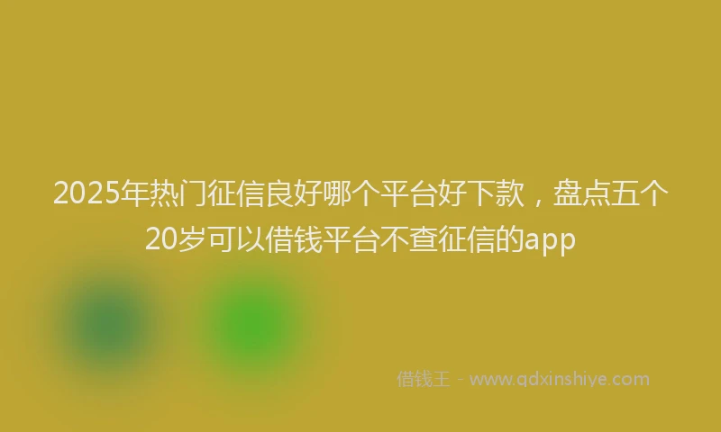 2025年热门征信良好哪个平台好下款，盘点五个20岁可以借钱平台不查征信的app
