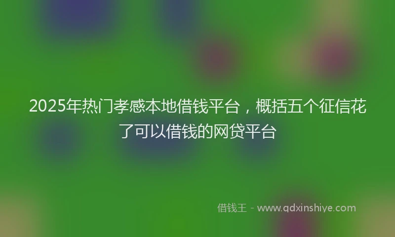 2025年热门孝感本地借钱平台，概括五个征信花了可以借钱的网贷平台