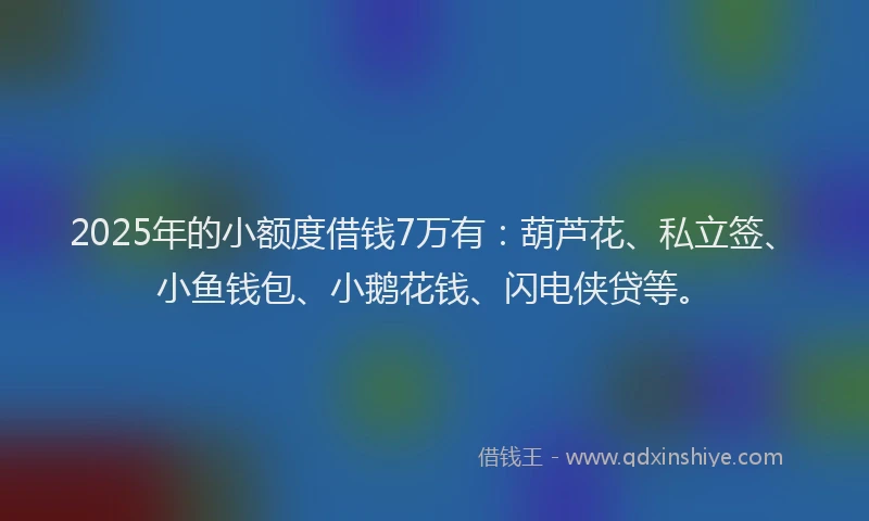 2025年的小额度借钱7万有：葫芦花、私立签、小鱼钱包、小鹅花钱、闪电侠贷等。