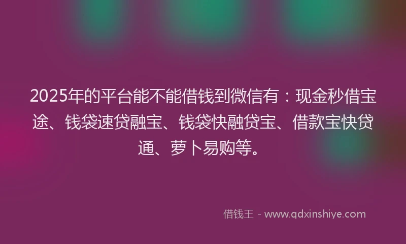 2025年的平台能不能借钱到微信有：现金秒借宝途、钱袋速贷融宝、钱袋快融贷宝、借款宝快贷通、萝卜易购等。