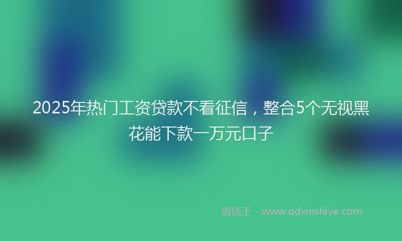 2025年热门工资贷款不看征信，整合5个无视黑花能下款一万元口子