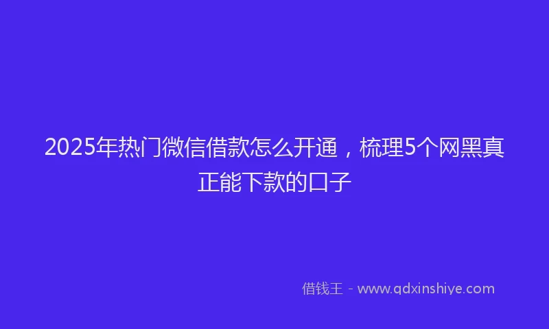 2025年热门微信借款怎么开通，梳理5个网黑真正能下款的口子