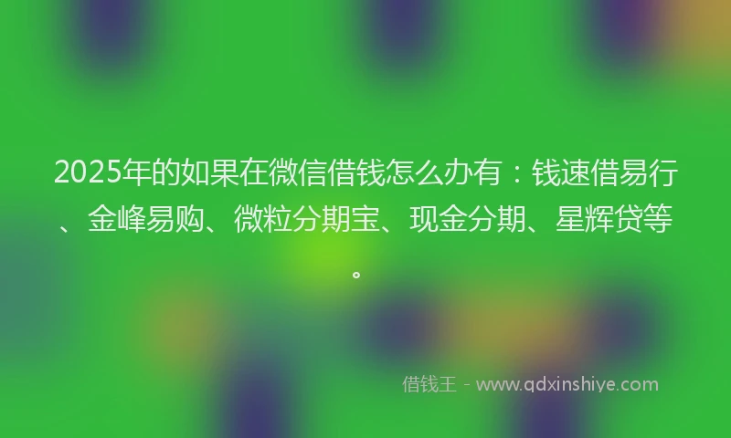 2025年的如果在微信借钱怎么办有：钱速借易行、金峰易购、微粒分期宝、现金分期、星辉贷等。