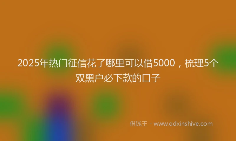 2025年热门征信花了哪里可以借5000，梳理5个双黑户必下款的口子