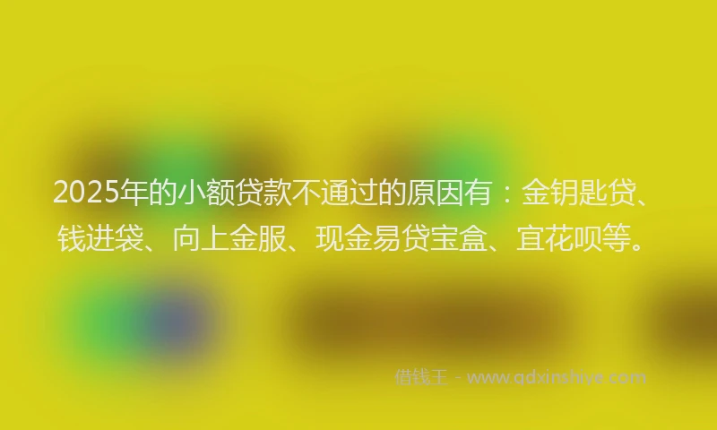 2025年的小额贷款不通过的原因有：金钥匙贷、钱进袋、向上金服、现金易贷宝盒、宜花呗等。