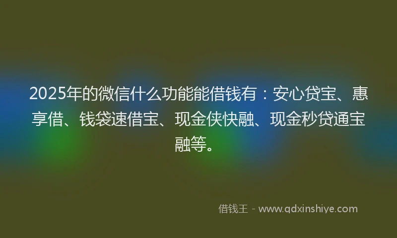 2025年的微信什么功能能借钱有：安心贷宝、惠享借、钱袋速借宝、现金侠快融、现金秒贷通宝融等。