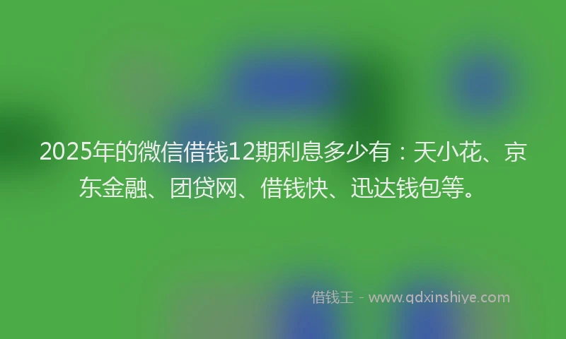 2025年的微信借钱12期利息多少有：天小花、京东金融、团贷网、借钱快、迅达钱包等。