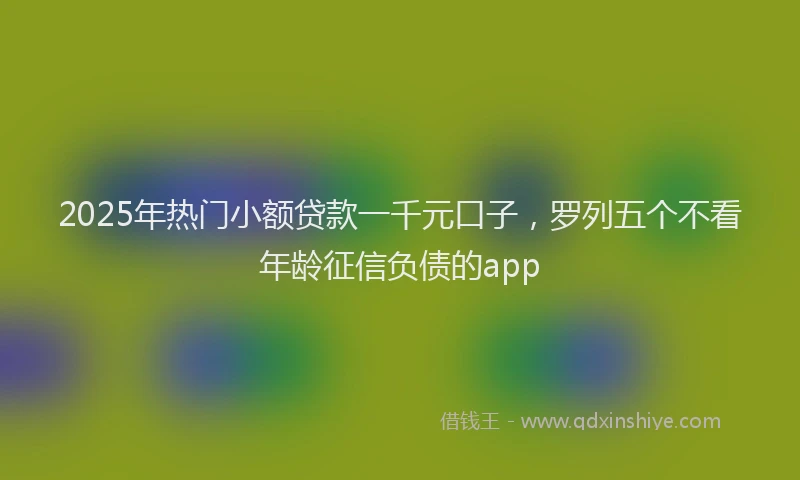 2025年热门小额贷款一千元口子，罗列五个不看年龄征信负债的app
