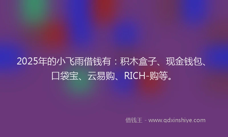 2025年的小飞雨借钱有：积木盒子、现金钱包、口袋宝、云易购、RICH-购等。