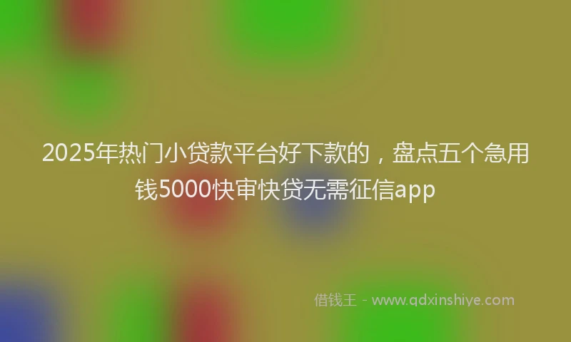 2025年热门小贷款平台好下款的，盘点五个急用钱5000快审快贷无需征信app