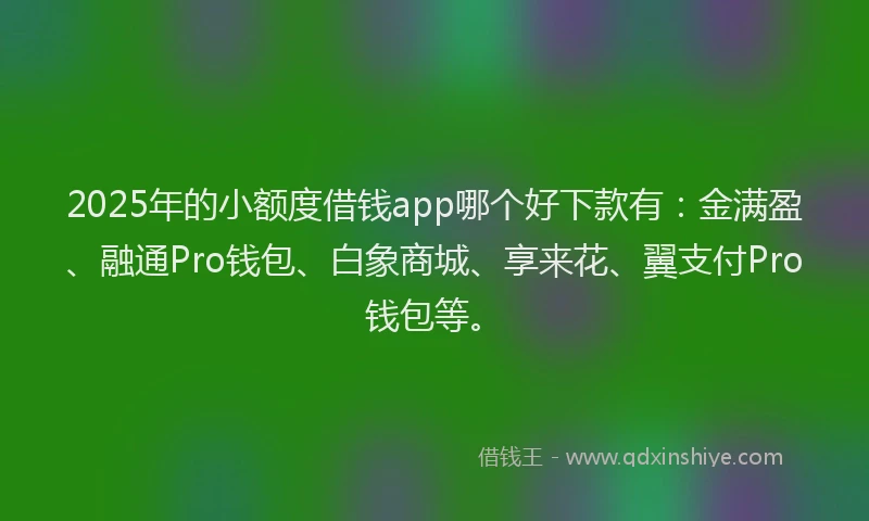 2025年的小额度借钱app哪个好下款有：金满盈、融通Pro钱包、白象商城、享来花、翼支付Pro钱包等。