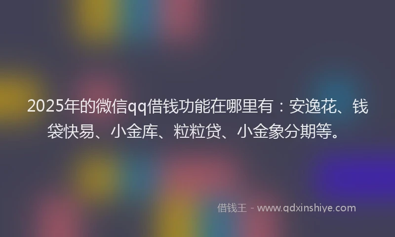 2025年的微信qq借钱功能在哪里有：安逸花、钱袋快易、小金库、粒粒贷、小金象分期等。