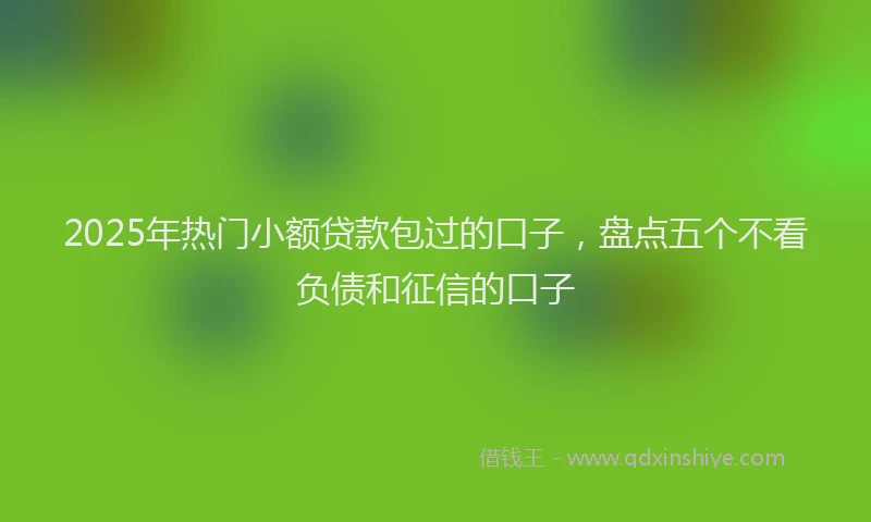 2025年热门小额贷款包过的口子，盘点五个不看负债和征信的口子