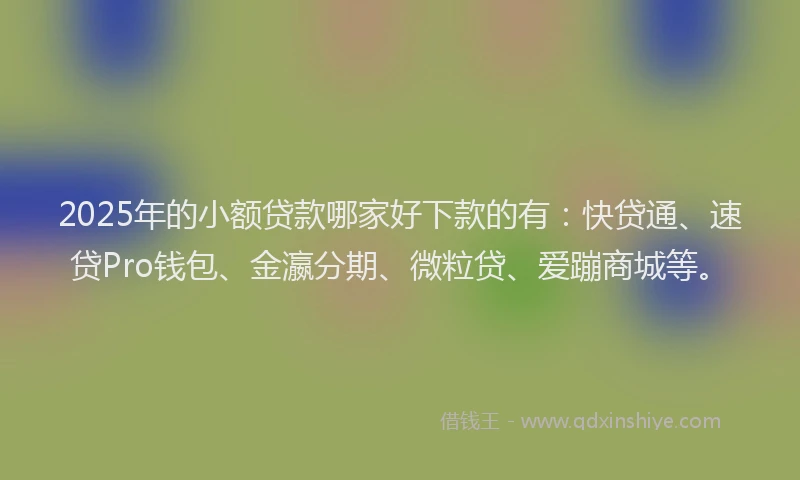 2025年的小额贷款哪家好下款的有：快贷通、速贷Pro钱包、金瀛分期、微粒贷、爱蹦商城等。