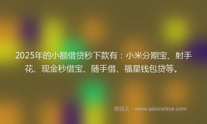 2025年的小额借贷秒下款有：小米分期宝、射手花、现金秒借宝、随手借、福星钱包贷等。