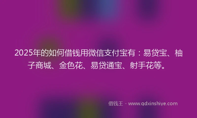 2025年的如何借钱用微信支付宝有：易贷宝、柚子商城、金色花、易贷通宝、射手花等。