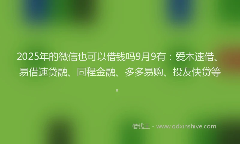 2025年的微信也可以借钱吗9月9有：爱木速借、易借速贷融、同程金融、多多易购、投友快贷等。