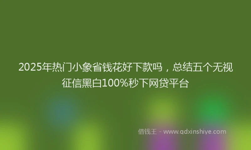 2025年热门小象省钱花好下款吗，总结五个无视征信黑白100%秒下网贷平台