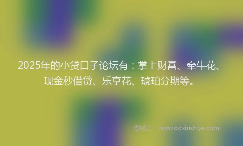 2025年的小贷口子论坛有：掌上财富、牵牛花、现金秒借贷、乐享花、琥珀分期等。
