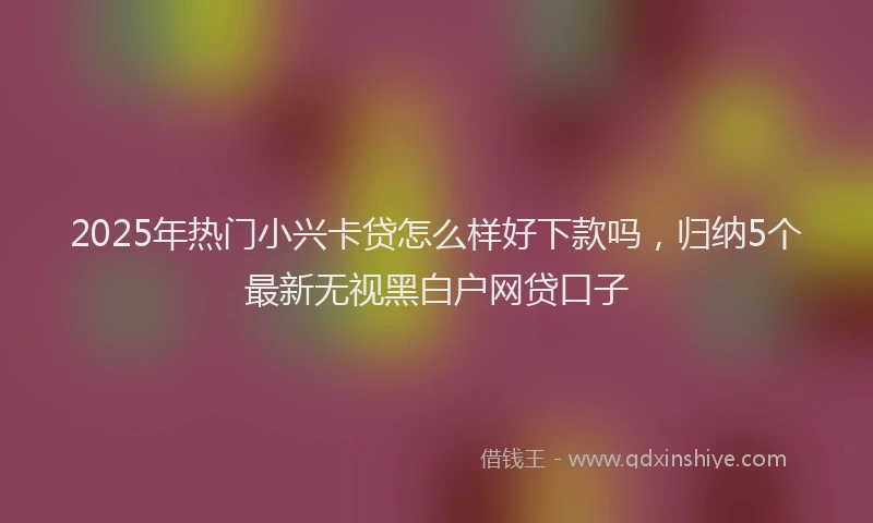 2025年热门小兴卡贷怎么样好下款吗，归纳5个最新无视黑白户网贷口子