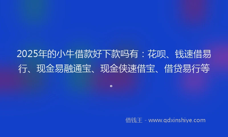 2025年的小牛借款好下款吗有：花呗、钱速借易行、现金易融通宝、现金侠速借宝、借贷易行等。