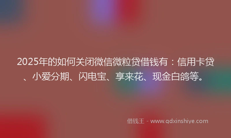 2025年的如何关闭微信微粒贷借钱有：信用卡贷、小爱分期、闪电宝、享来花、现金白鸽等。
