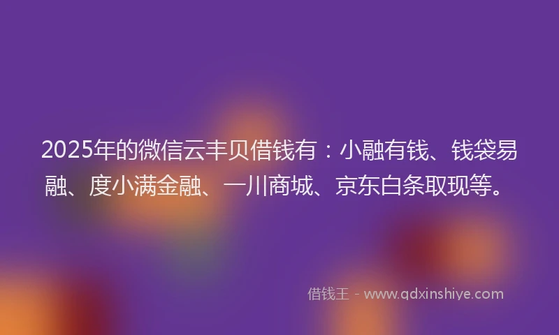 2025年的微信云丰贝借钱有：小融有钱、钱袋易融、度小满金融、一川商城、京东白条取现等。
