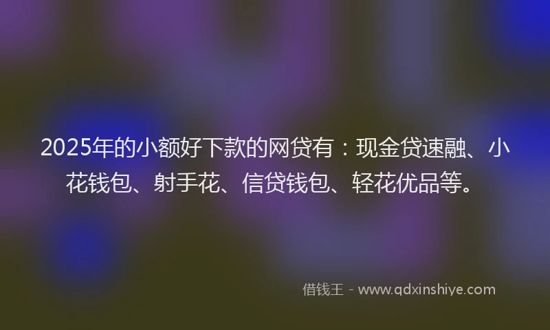 2025年的小额好下款的网贷有：现金贷速融、小花钱包、射手花、信贷钱包、轻花优品等。