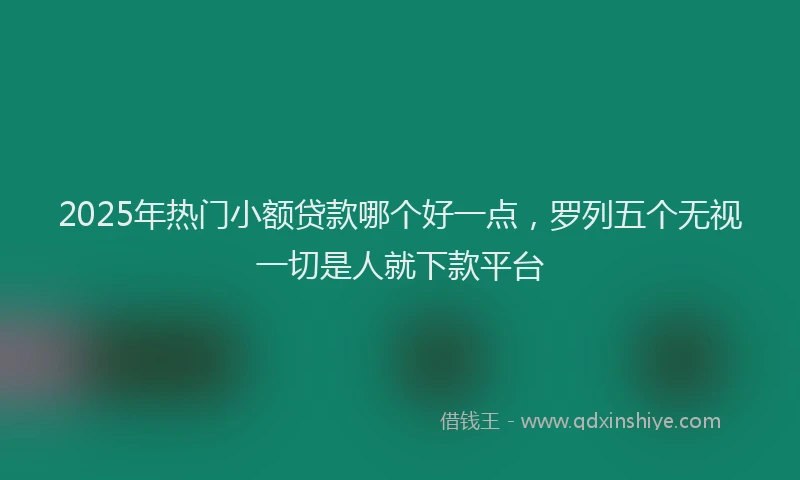 2025年热门小额贷款哪个好一点，罗列五个无视一切是人就下款平台