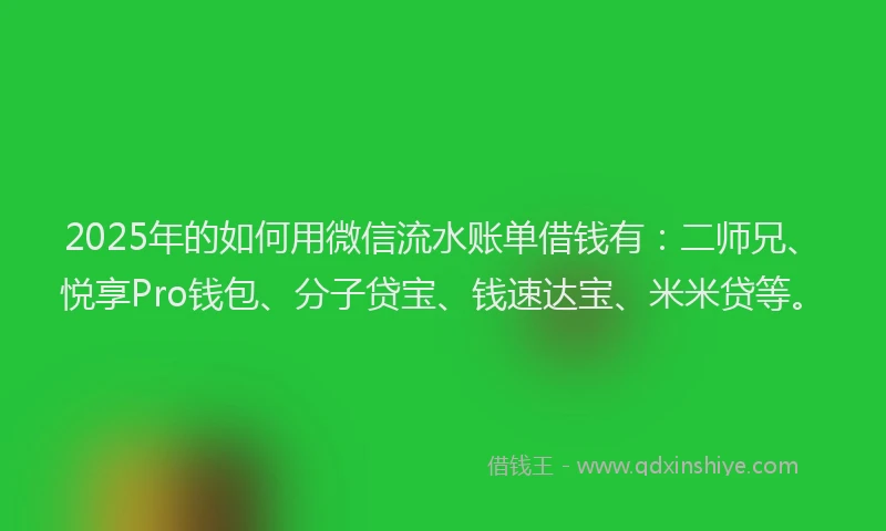 2025年的如何用微信流水账单借钱有：二师兄、悦享Pro钱包、分子贷宝、钱速达宝、米米贷等。