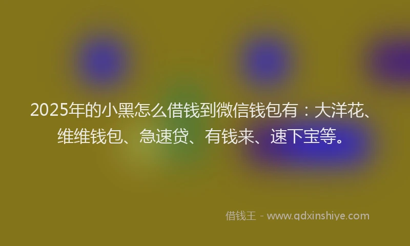2025年的小黑怎么借钱到微信钱包有：大洋花、维维钱包、急速贷、有钱来、速下宝等。