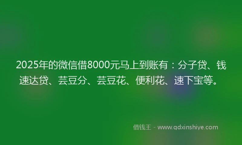 2025年的微信借8000元马上到账有：分子贷、钱速达贷、芸豆分、芸豆花、便利花、速下宝等。