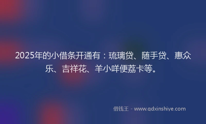 2025年的小借条开通有:琉璃贷、随手贷、惠众乐、吉祥花、羊小咩便荔卡等。