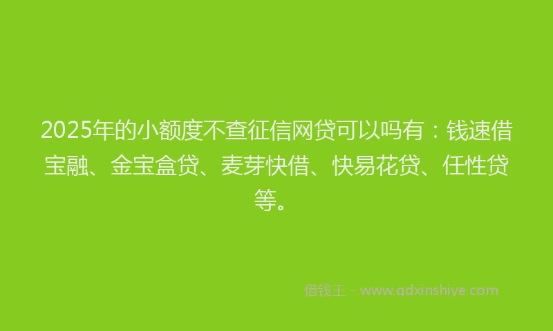 2025年的小额度不查征信网贷可以吗有：钱速借宝融、金宝盒贷、麦芽快借、快易花贷、任性贷等。