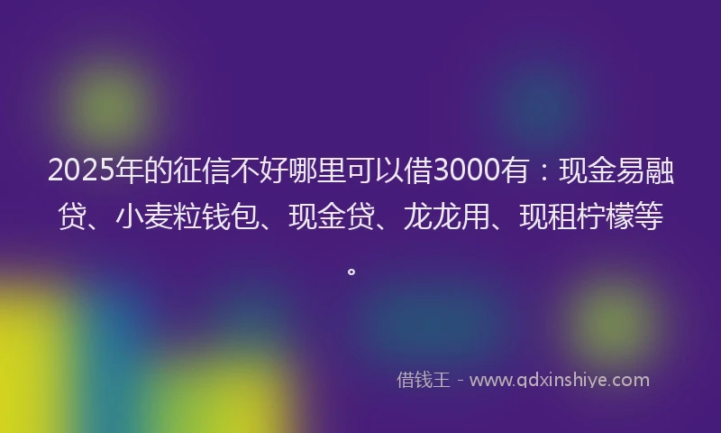 2025年的征信不好哪里可以借3000有：现金易融贷、小麦粒钱包、现金贷、龙龙用、现租柠檬等。