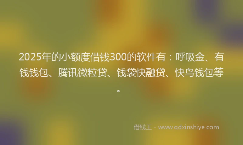 2025年的小额度借钱300的软件有：呼吸金、有钱钱包、腾讯微粒贷、钱袋快融贷、快鸟钱包等。