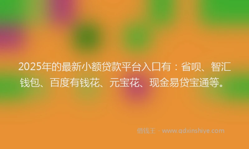 2025年的最新小额贷款平台入口有：省呗、智汇钱包、百度有钱花、元宝花、现金易贷宝通等。