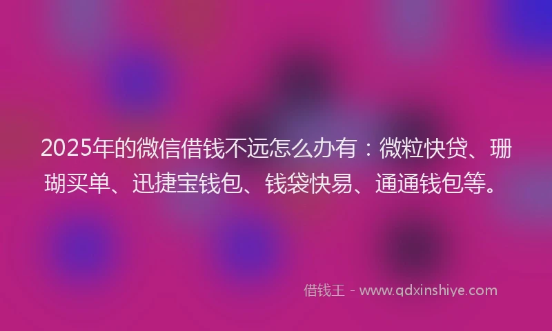 2025年的微信借钱不远怎么办有：微粒快贷、珊瑚买单、迅捷宝钱包、钱袋快易、通通钱包等。