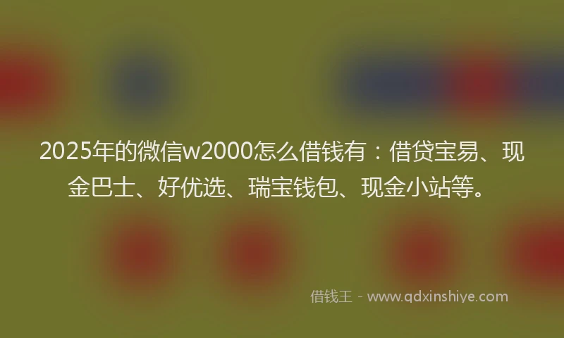 2025年的微信w2000怎么借钱有：借贷宝易、现金巴士、好优选、瑞宝钱包、现金小站等。
