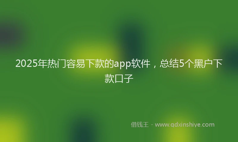 2025年热门容易下款的app软件，总结5个黑户下款口子