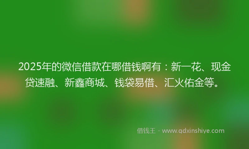 2025年的微信借款在哪借钱啊有：新一花、现金贷速融、新鑫商城、钱袋易借、汇火佑金等。