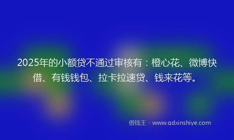 2025年的小额贷不通过审核有：橙心花、微博快借、有钱钱包、拉卡拉速贷、钱来花等。