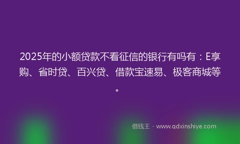 2025年的小额贷款不看征信的银行有吗有：E享购、省时贷、百兴贷、借款宝速易、极客商城等。