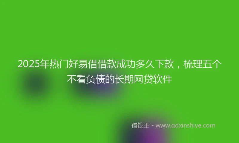 2025年热门好易借借款成功多久下款，梳理五个不看负债的长期网贷软件