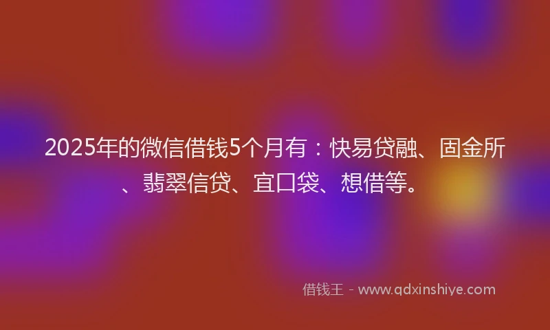 2025年的微信借钱5个月有：快易贷融、固金所、翡翠信贷、宜口袋、想借等。