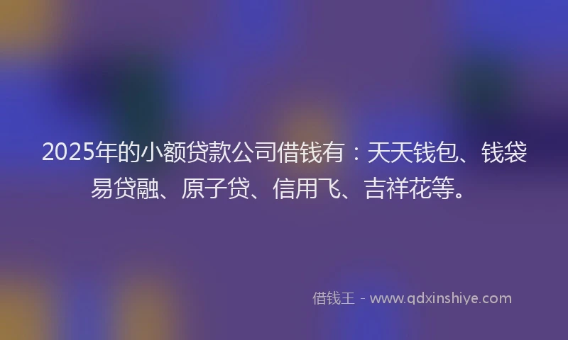 2025年的小额贷款公司借钱有：天天钱包、钱袋易贷融、原子贷、信用飞、吉祥花等。