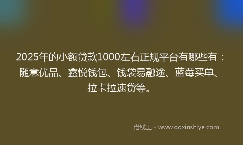 2025年的小额贷款1000左右正规平台有哪些有：随意优品、鑫悦钱包、钱袋易融途、蓝莓买单、拉卡拉速贷等。