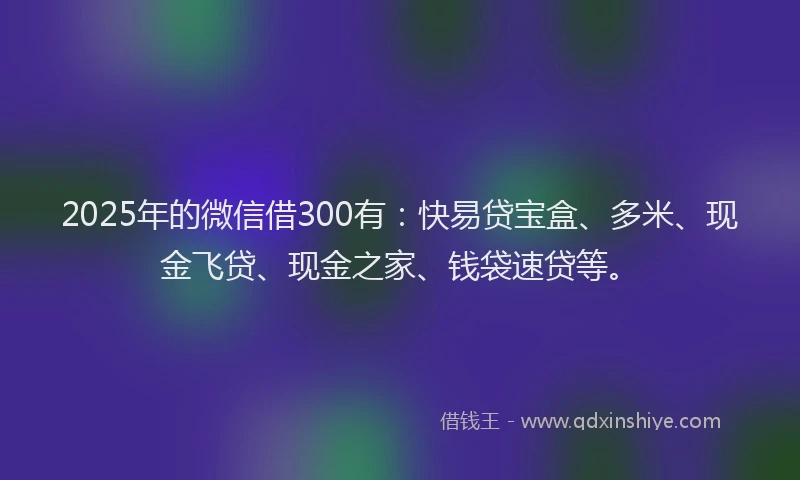2025年的微信借300有：快易贷宝盒、多米、现金飞贷、现金之家、钱袋速贷等。